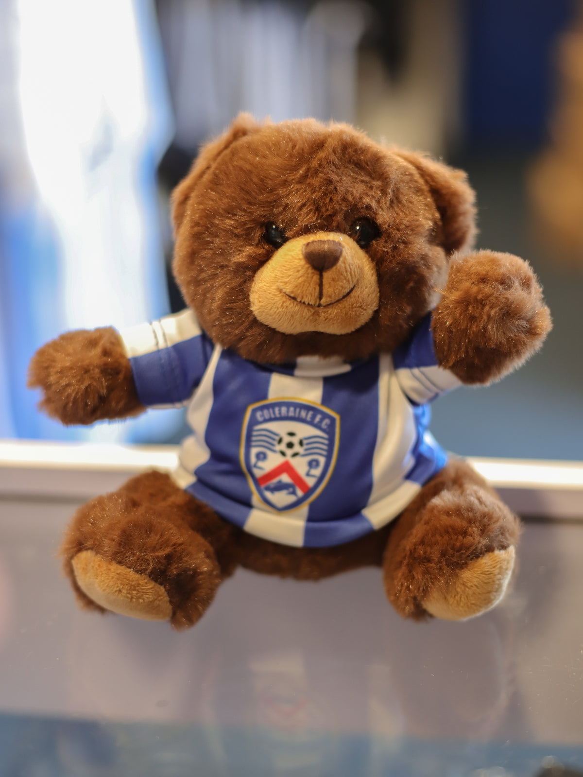 Coleraine FC Benny Bannsider Teddy Bear