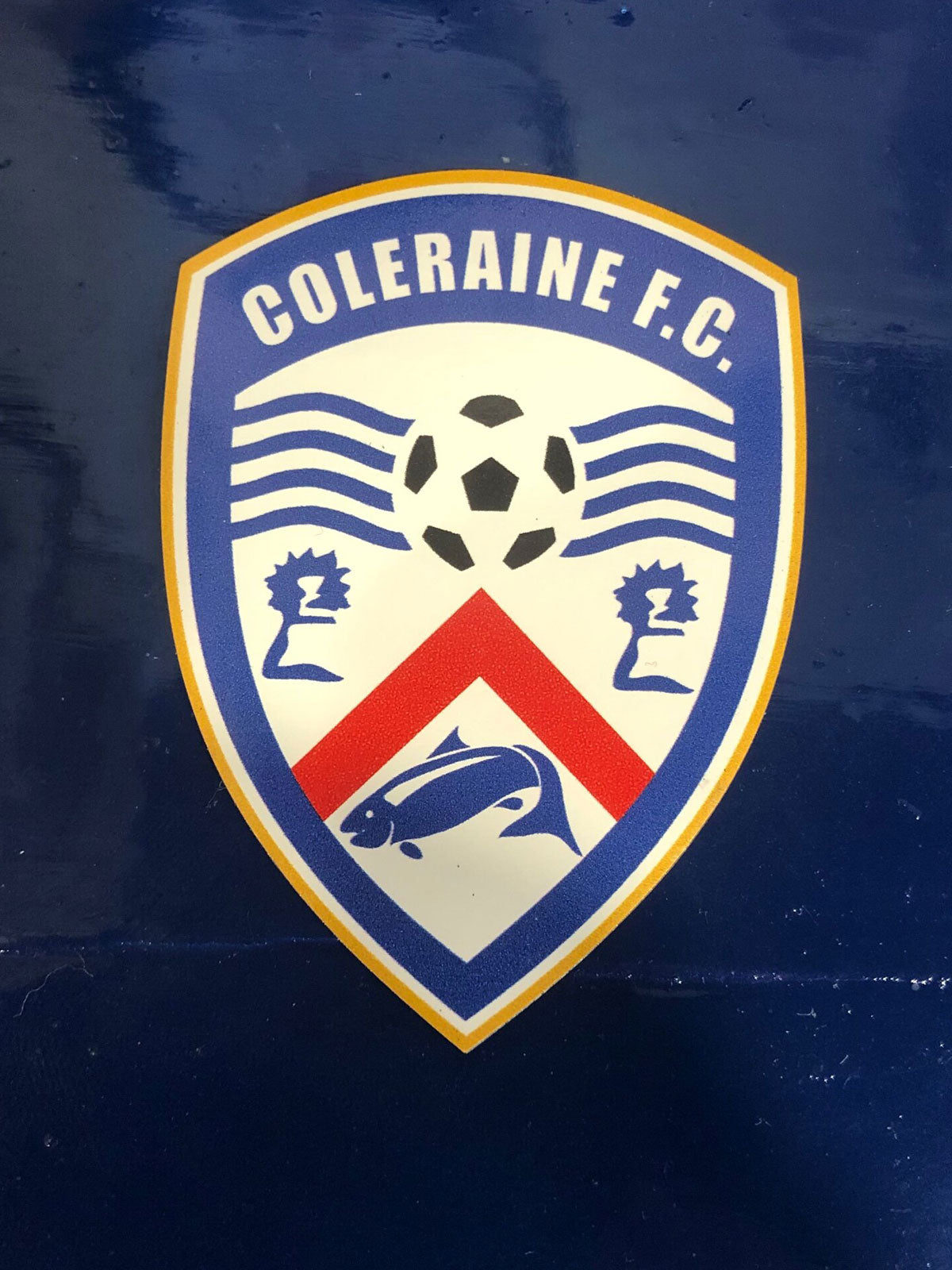 Coleraine FC Fridge Magnet